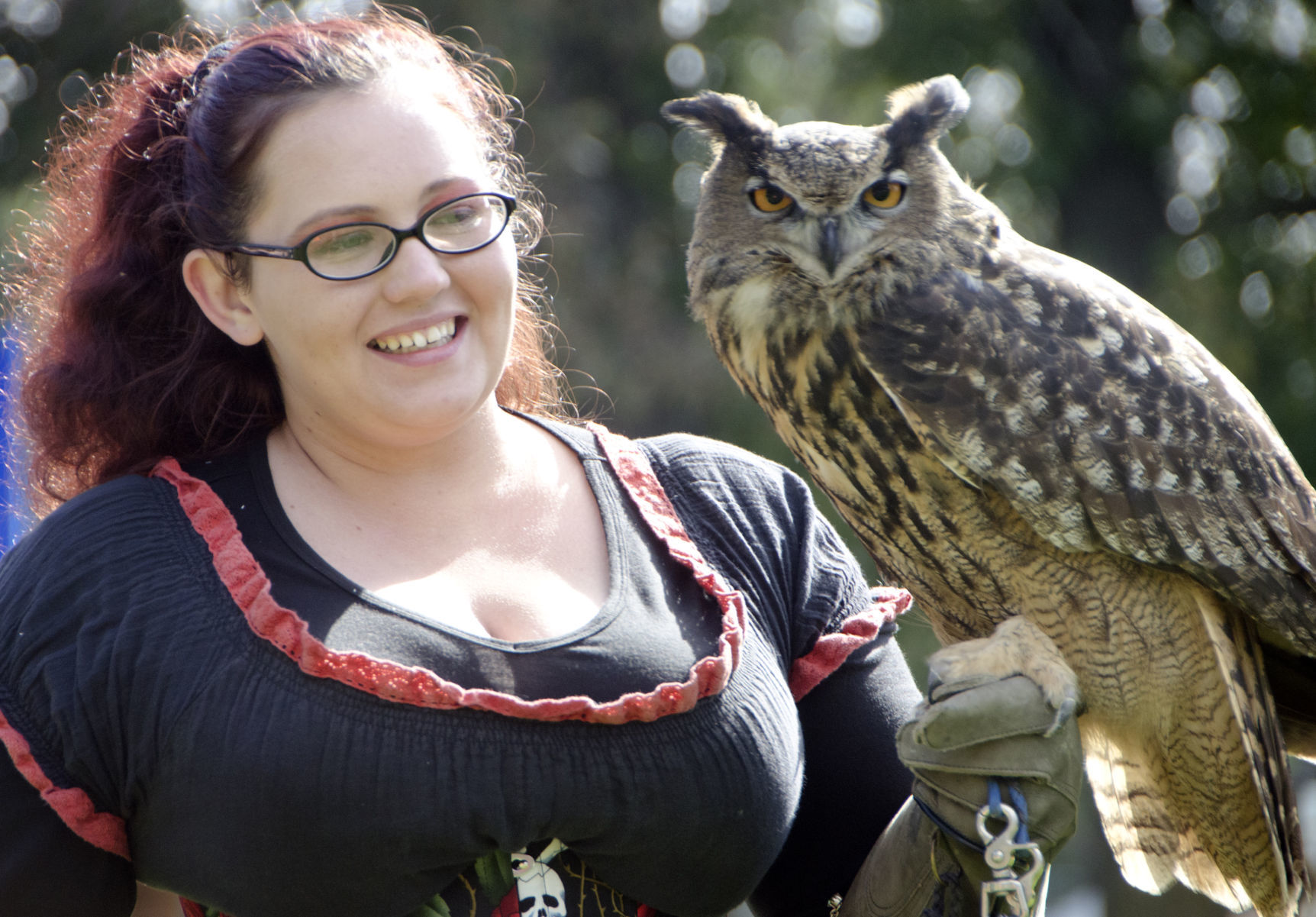 Eurasian eagle owl